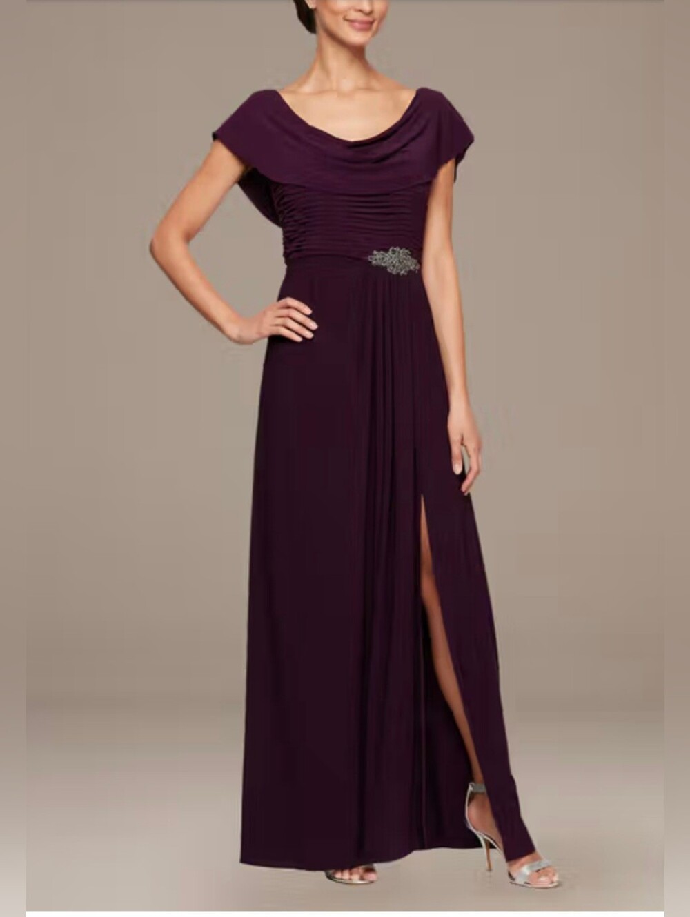 Alex Evenings A-Line Matte Jersey Dress with Pleated Bodice Eggplant 10 Petite